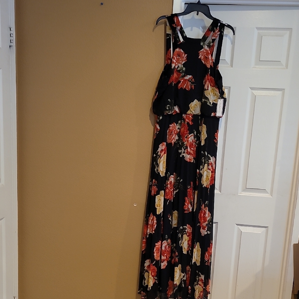 Pewmier Amour Black Multi Color Sleeveless Maxi Sundress for All Occasion